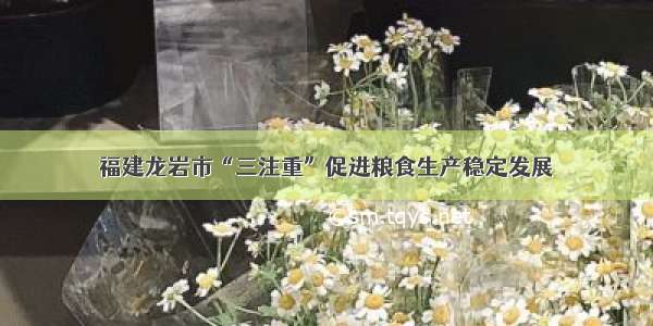 福建龙岩市“三注重”促进粮食生产稳定发展