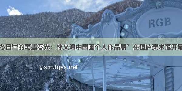 冬日里的笔墨春光：林文通中国画个人作品展”在恒庐美术馆开幕