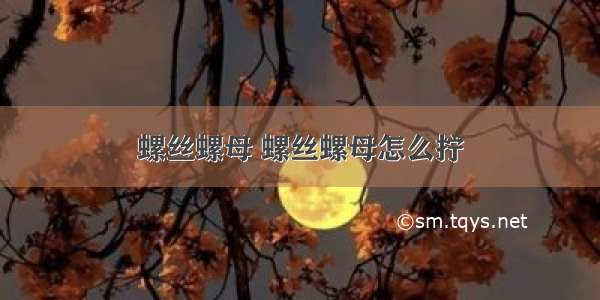 螺丝螺母 螺丝螺母怎么拧