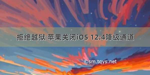 拒绝越狱 苹果关闭iOS 12.4降级通道