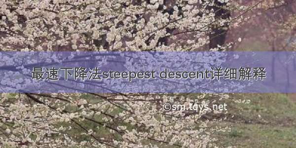 最速下降法steepest descent详细解释