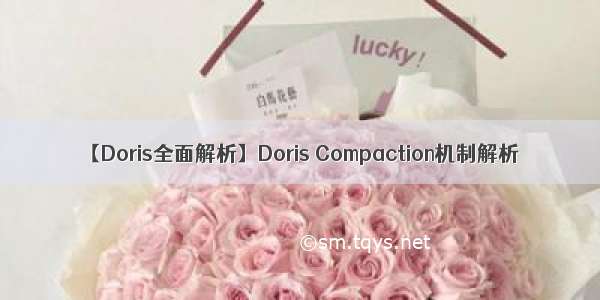 【Doris全面解析】Doris Compaction机制解析