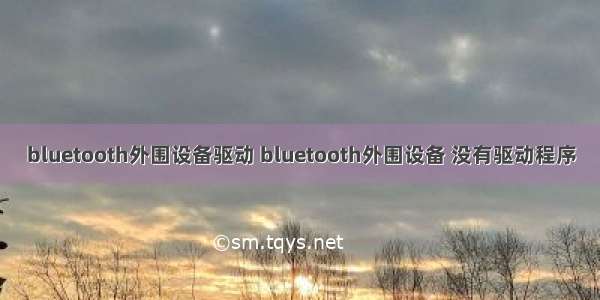 bluetooth外围设备驱动 bluetooth外围设备 没有驱动程序