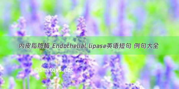 内皮脂肪酶 Endothelial lipase英语短句 例句大全