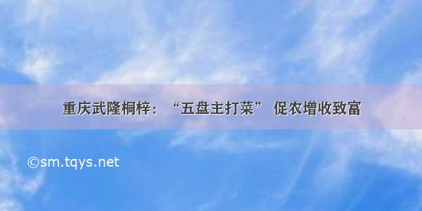 重庆武隆桐梓：“五盘主打菜” 促农增收致富