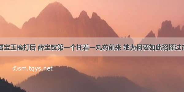 贾宝玉挨打后 薛宝钗第一个托着一丸药前来 她为何要如此招摇过市