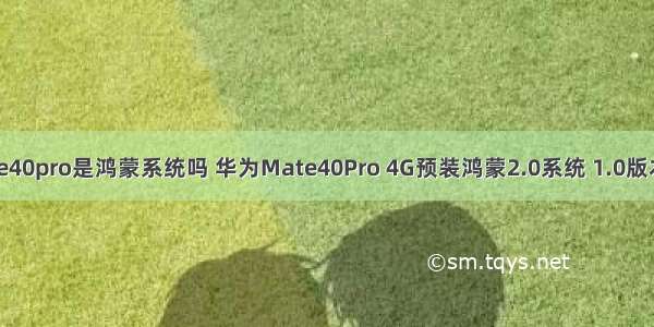 华为mate40pro是鸿蒙系统吗 华为Mate40Pro 4G预装鸿蒙2.0系统 1.0版本哪去了？