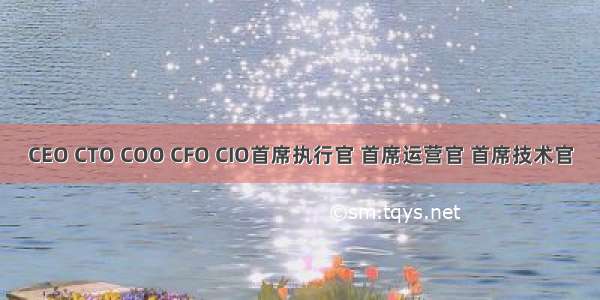CEO CTO COO CFO CIO首席执行官 首席运营官 首席技术官