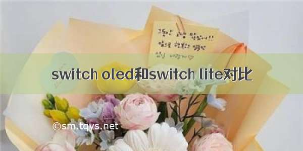 switch oled和switch lite对比