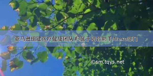 亚马逊组建医疗健康团队 归属于语音助手Alexa部门