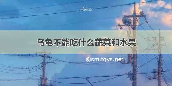 乌龟不能吃什么蔬菜和水果