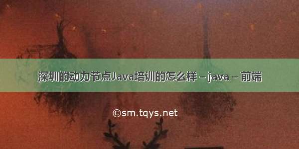 深圳的动力节点Java培训的怎么样 – java – 前端