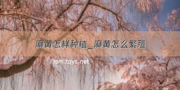 麻黄怎样种植_麻黄怎么繁殖