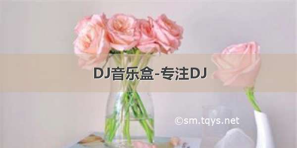 DJ音乐盒-专注DJ