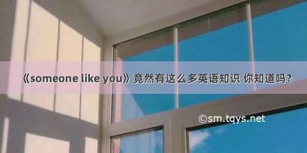 《someone like you》竟然有这么多英语知识 你知道吗？