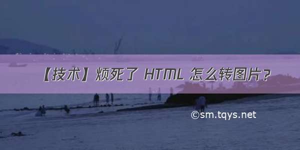 【技术】烦死了 HTML 怎么转图片？