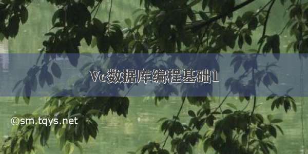 Vc数据库编程基础1