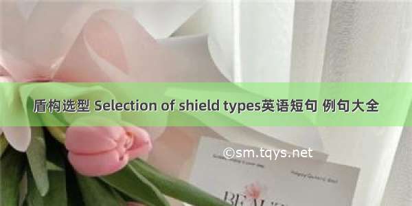 盾构选型 Selection of shield types英语短句 例句大全