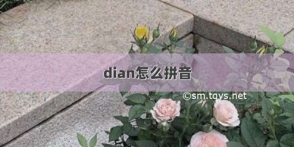 dian怎么拼音