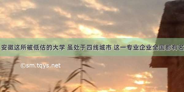 安徽这所被低估的大学 虽处于四线城市 这一专业企业全国都有名