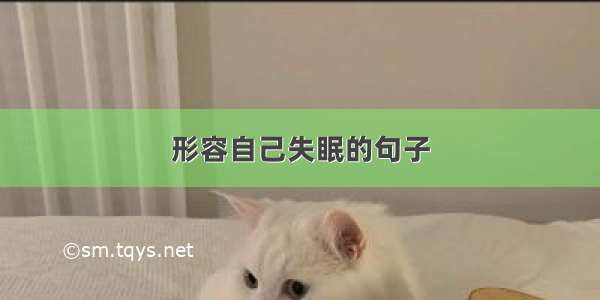 形容自己失眠的句子