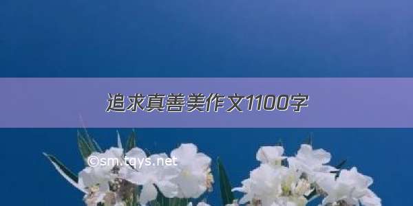 追求真善美作文1100字