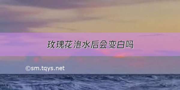 玫瑰花泡水后会变白吗