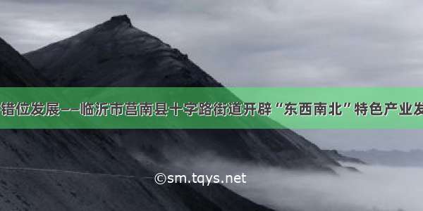 精准定位 错位发展——临沂市莒南县十字路街道开辟“东西南北”特色产业发展新路径