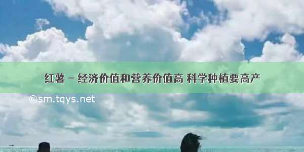 红薯 - 经济价值和营养价值高 科学种植要高产