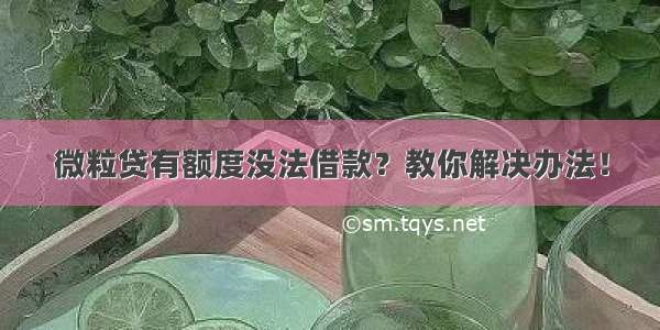 微粒贷有额度没法借款？教你解决办法！