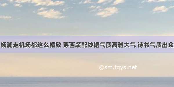 杨澜走机场都这么精致 穿西装配纱裙气质高雅大气 诗书气质出众