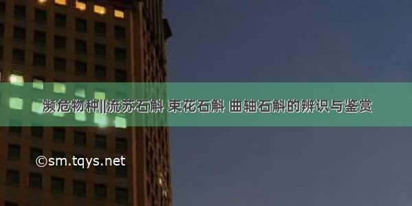 濒危物种||流苏石斛 束花石斛 曲轴石斛的辨识与鉴赏