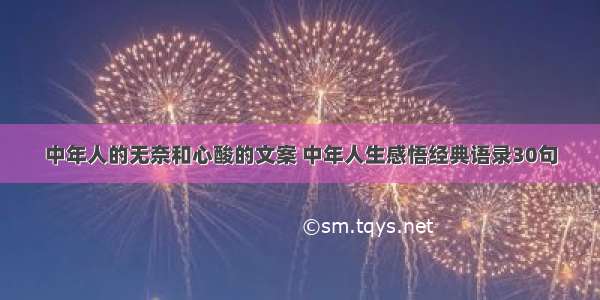 中年人的无奈和心酸的文案 中年人生感悟经典语录30句