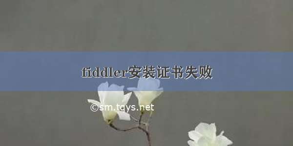 fiddler安装证书失败