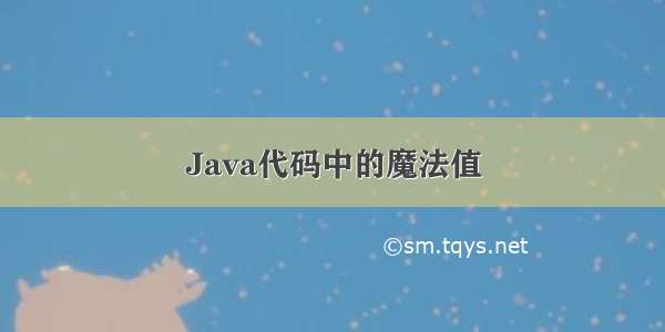 Java代码中的魔法值