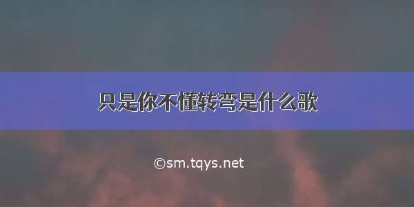 只是你不懂转弯是什么歌