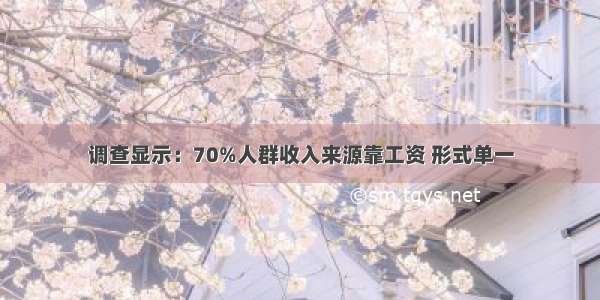 调查显示：70%人群收入来源靠工资 形式单一