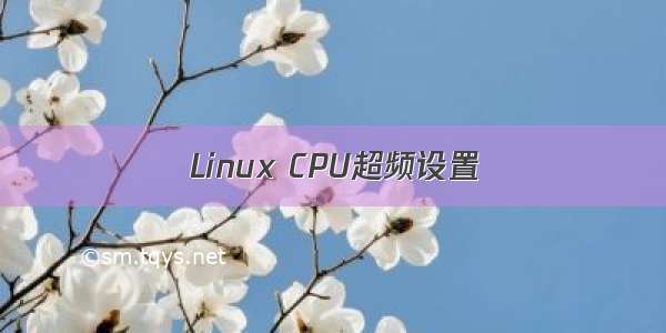 Linux CPU超频设置