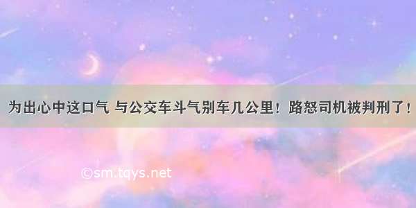 为出心中这口气 与公交车斗气别车几公里！路怒司机被判刑了！