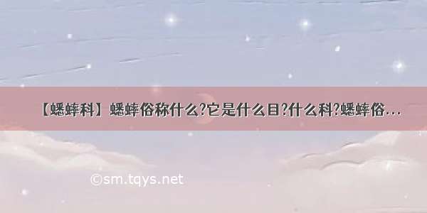 【蟋蟀科】蟋蟀俗称什么?它是什么目?什么科?蟋蟀俗...