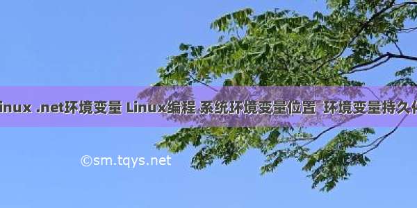 linux .net环境变量 Linux编程 系统环境变量位置  环境变量持久化