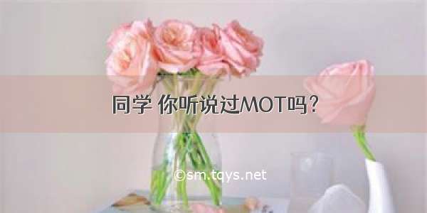 同学 你听说过MOT吗？