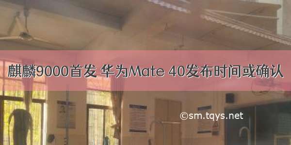 麒麟9000首发 华为Mate 40发布时间或确认