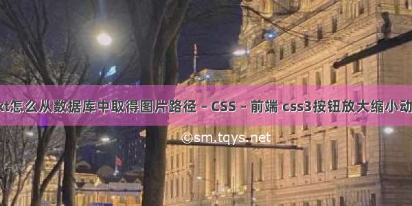 ext怎么从数据库中取得图片路径 – CSS – 前端 css3按钮放大缩小动画