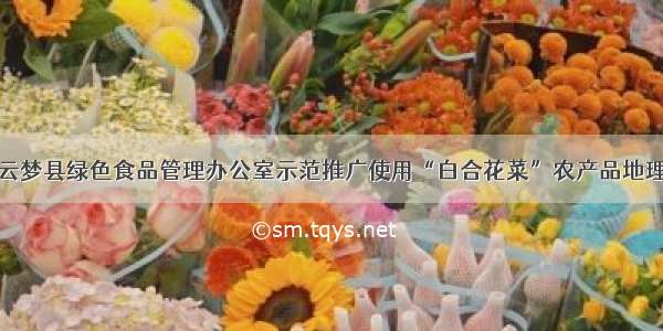 湖北云梦县绿色食品管理办公室示范推广使用“白合花菜”农产品地理标志