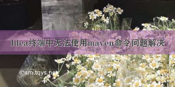 Idea终端中无法使用maven命令问题解决