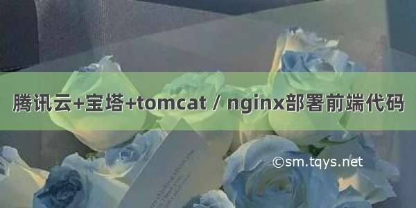 腾讯云+宝塔+tomcat / nginx部署前端代码