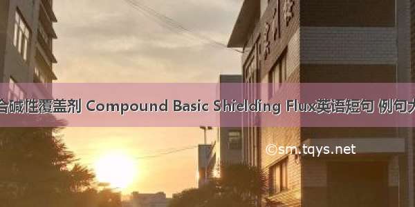 复合碱性覆盖剂 Compound Basic Shielding Flux英语短句 例句大全