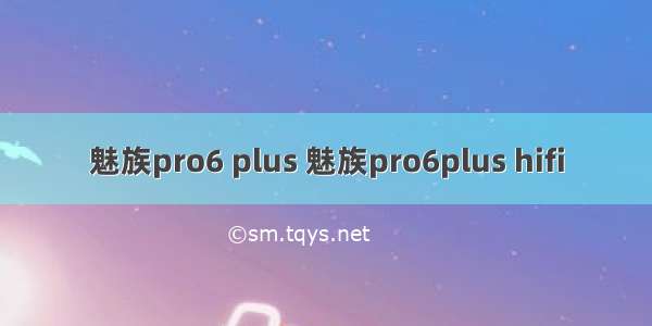 魅族pro6 plus 魅族pro6plus hifi