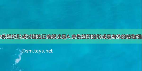 单选题关于愈伤组织形成过程的正确叙述是A.愈伤组织的形成是离体的植物细胞分化的结果